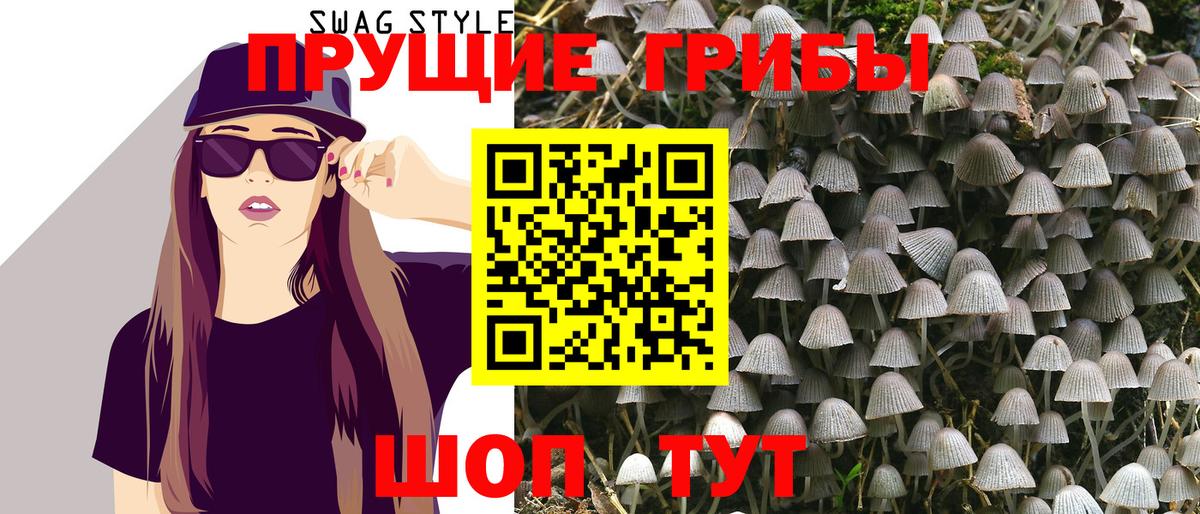 Галлюциногенные грибы ЛСД  Вход с VPN  цена   Киров  Псилоцибиновые грибы MAGIC MUSHROOMS 